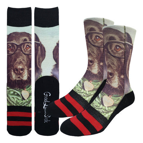 Hipster Dogs Socks