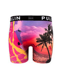 Pullin Men's Boxers -  FA2 Drift